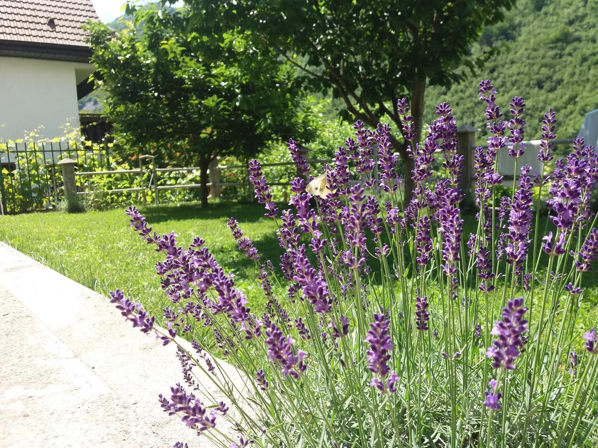 Kuca Lavanda Dreznjak Exterior foto